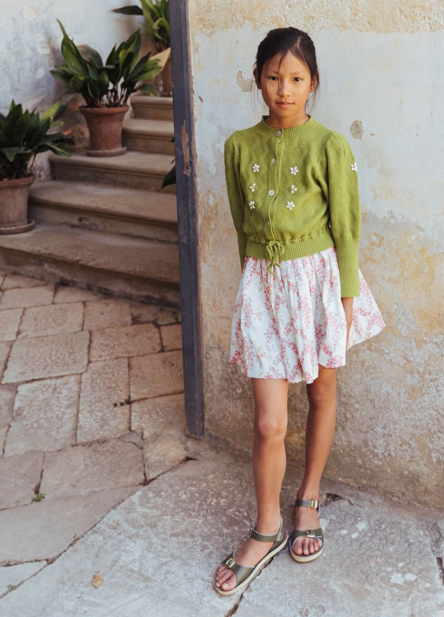 Twirly Skirt in Climbing Roses Print