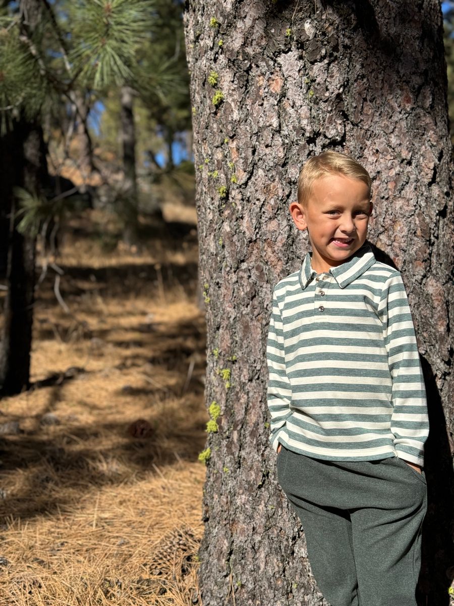 Midway Long Sleeve Polo Shirt | Green Cream Stripe