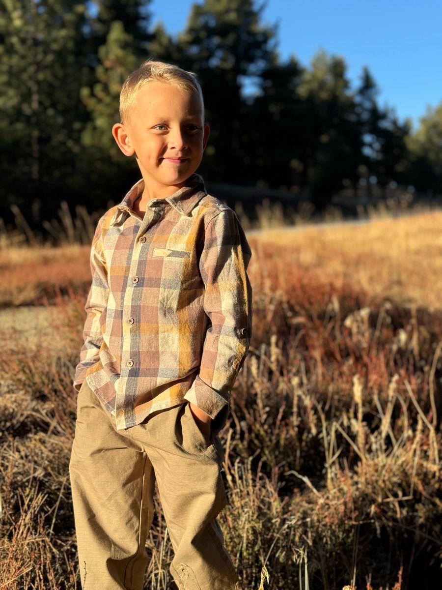 Atwood Long Sleeve Woven Shirt | Brown Madras