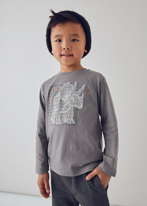 Boys Long Sleeve Glow in the Dark Graphic Tee | Grey