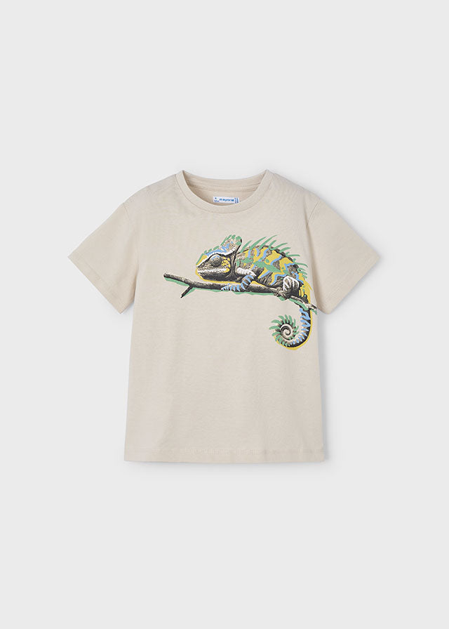 Short Sleeve Lizard Graphic T-Shirt | Crystal