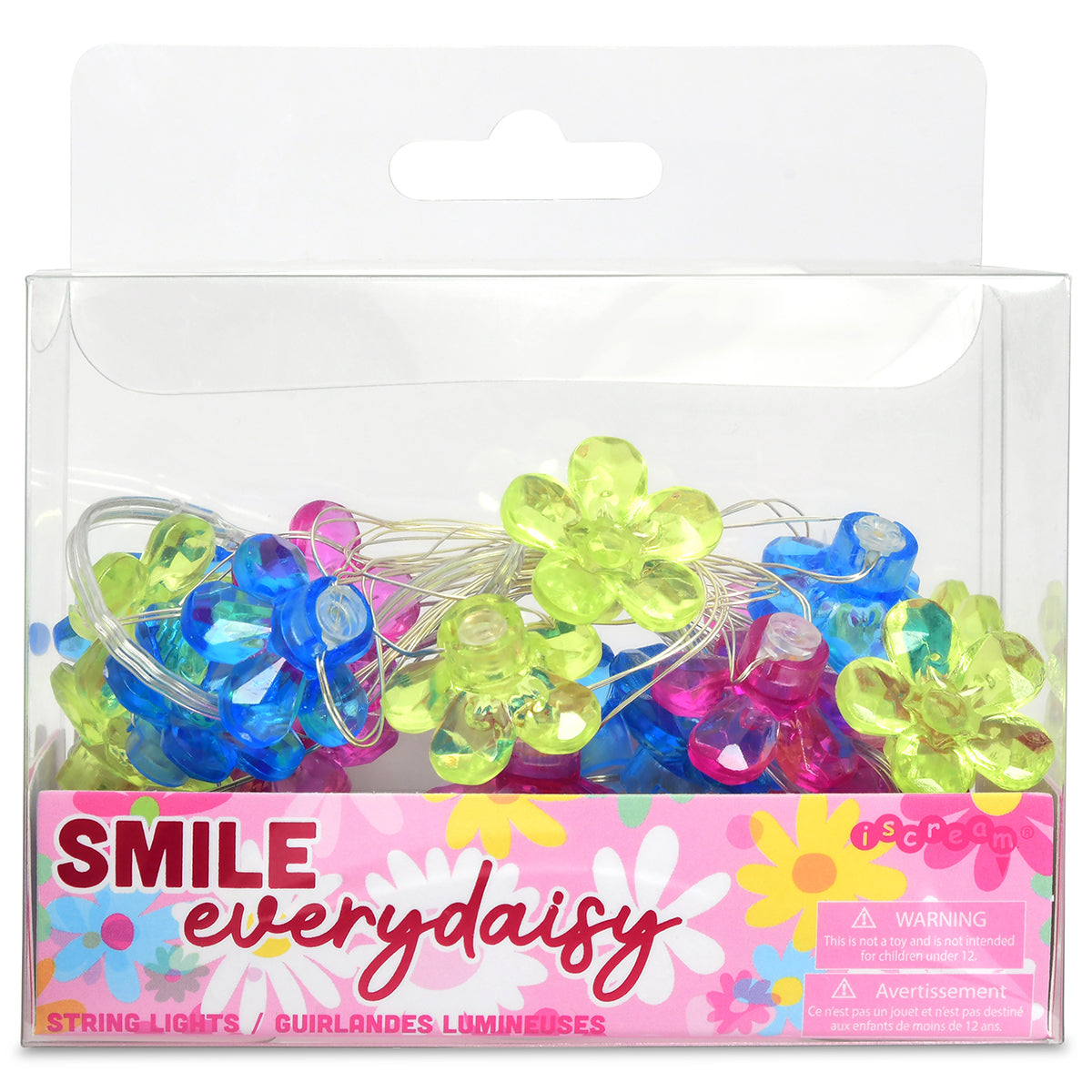 Smile Every Daisy String Lights