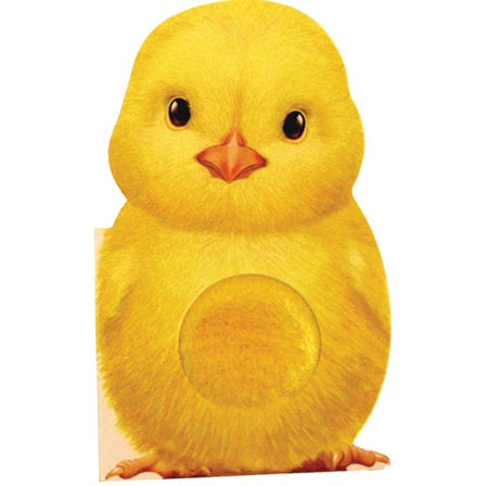'Furry Chick' Touch and Feel Board Book | By Annie Auerbach