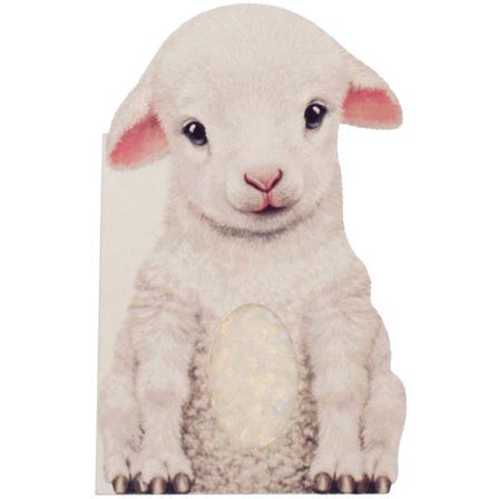 'Furry Lamb' Touch and Feel Board Book | By Annie Auerbach
