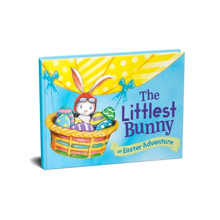 The Littlest Bunny Board Book