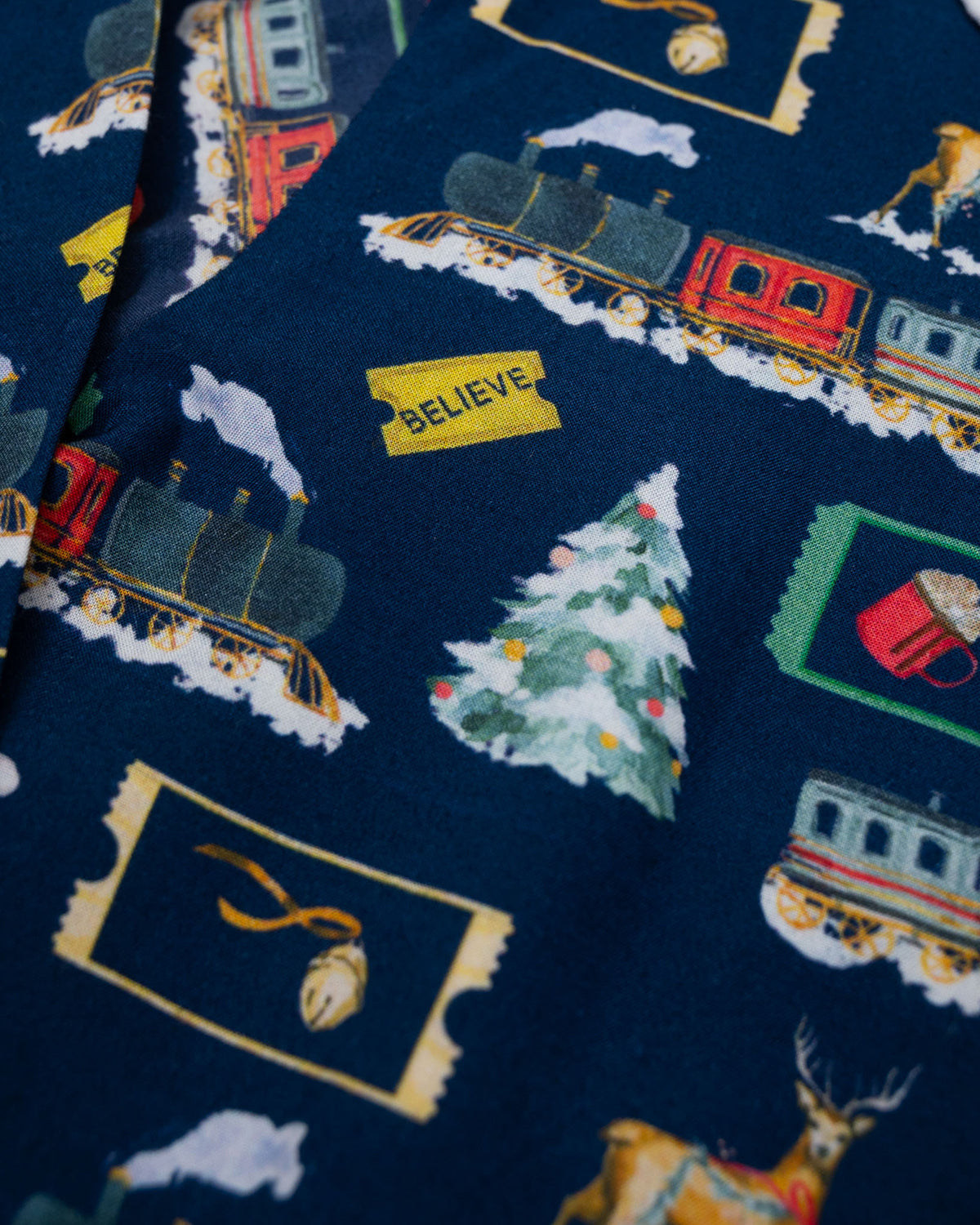 Polar Express Button Down Pajama Set