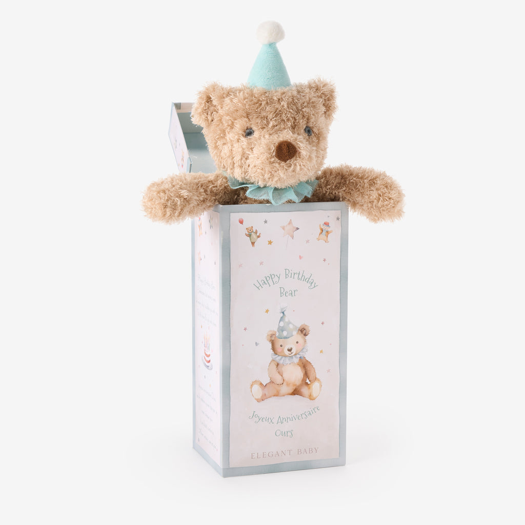 Aqua Birthday Bear Plush Toy w/ Gift Box