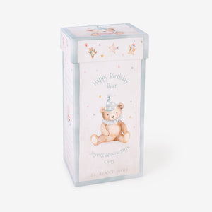 Aqua Birthday Bear Plush Toy w/ Gift Box