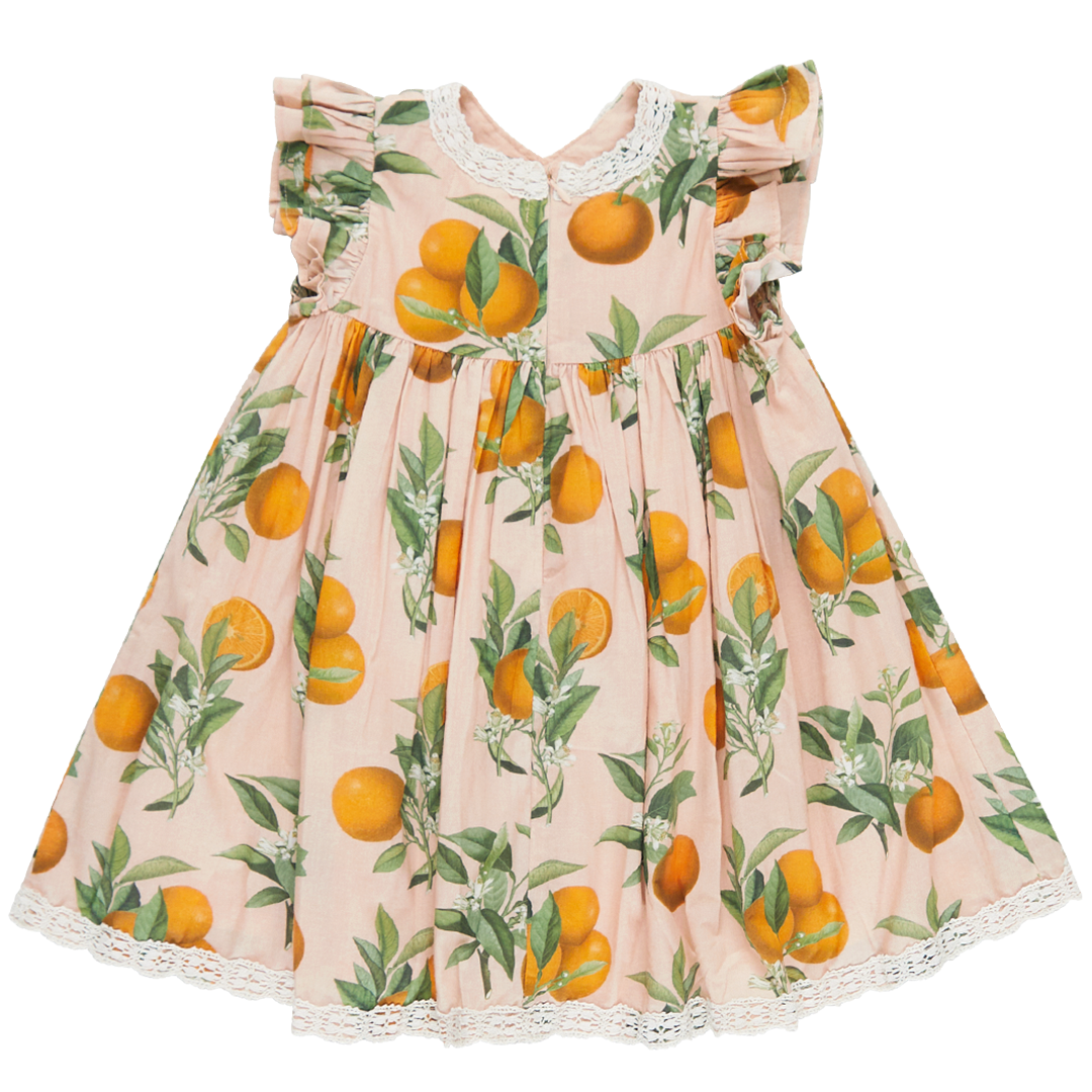 Katherine Dress | Pink Botanical Oranges