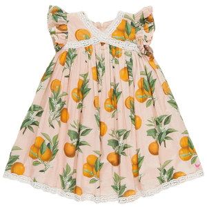 Katherine Dress | Pink Botanical Oranges