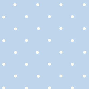 Pin Dot Blue Modal Newborn Hat