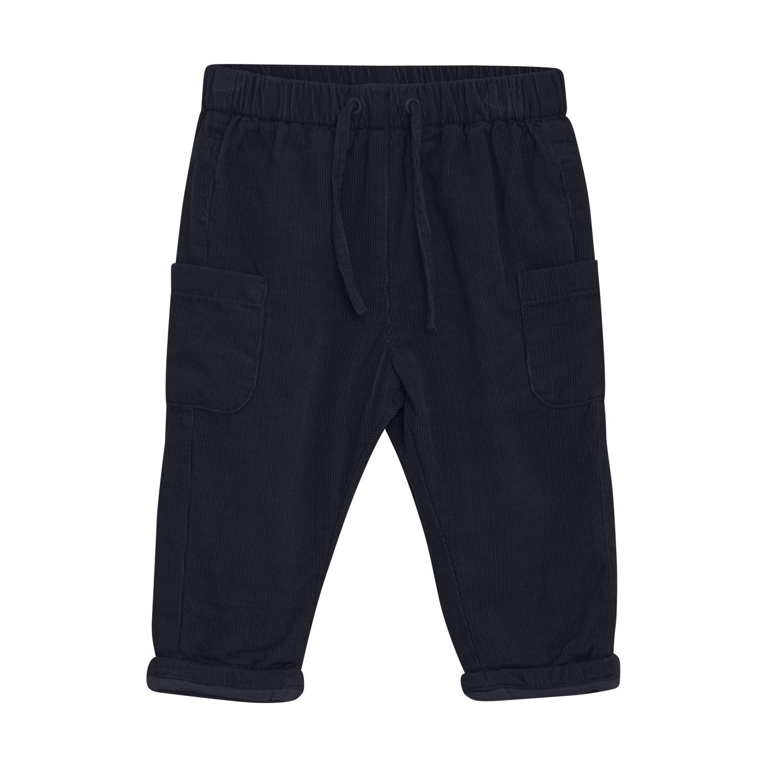 Baby Corduroy Lined Pant | Caribou or Parisian Night