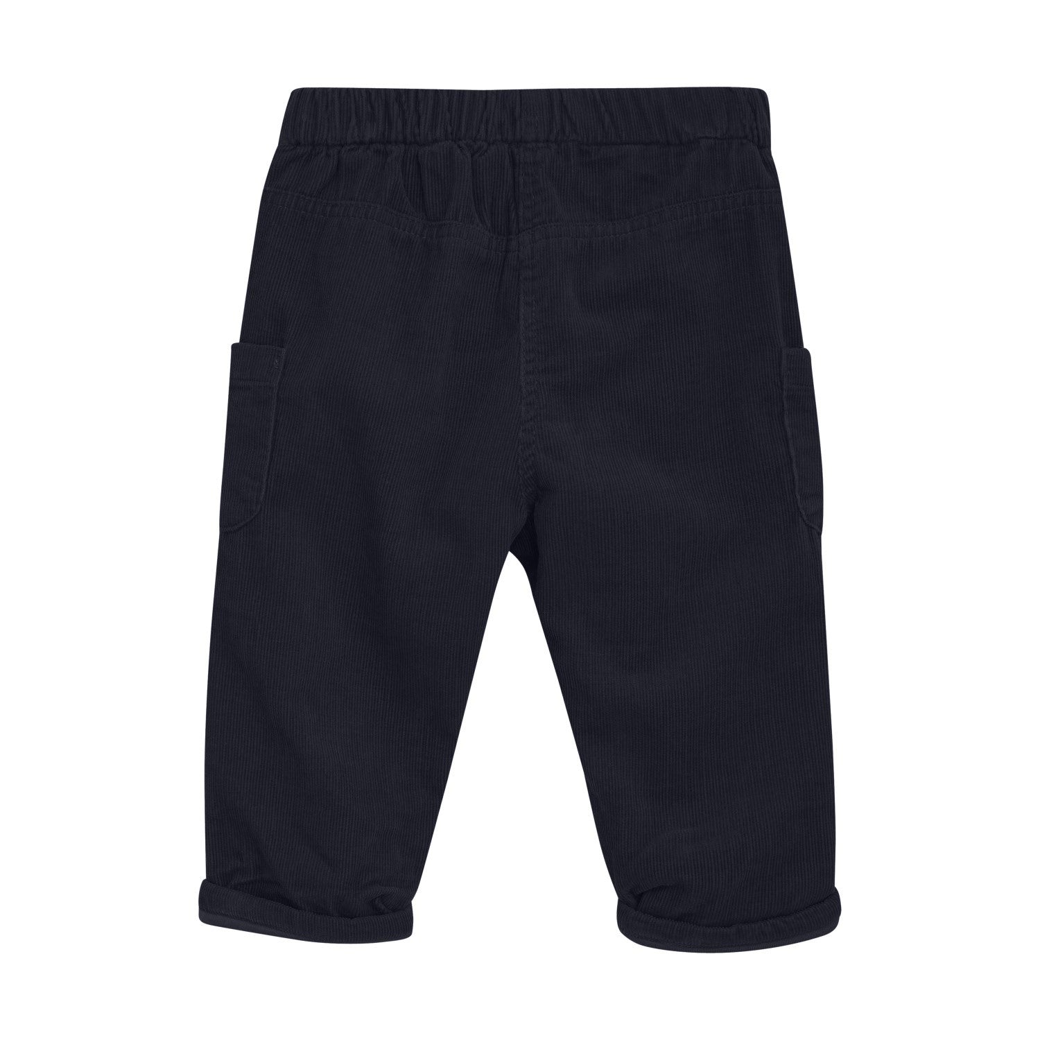 Baby Corduroy Lined Pant | Caribou or Parisian Night