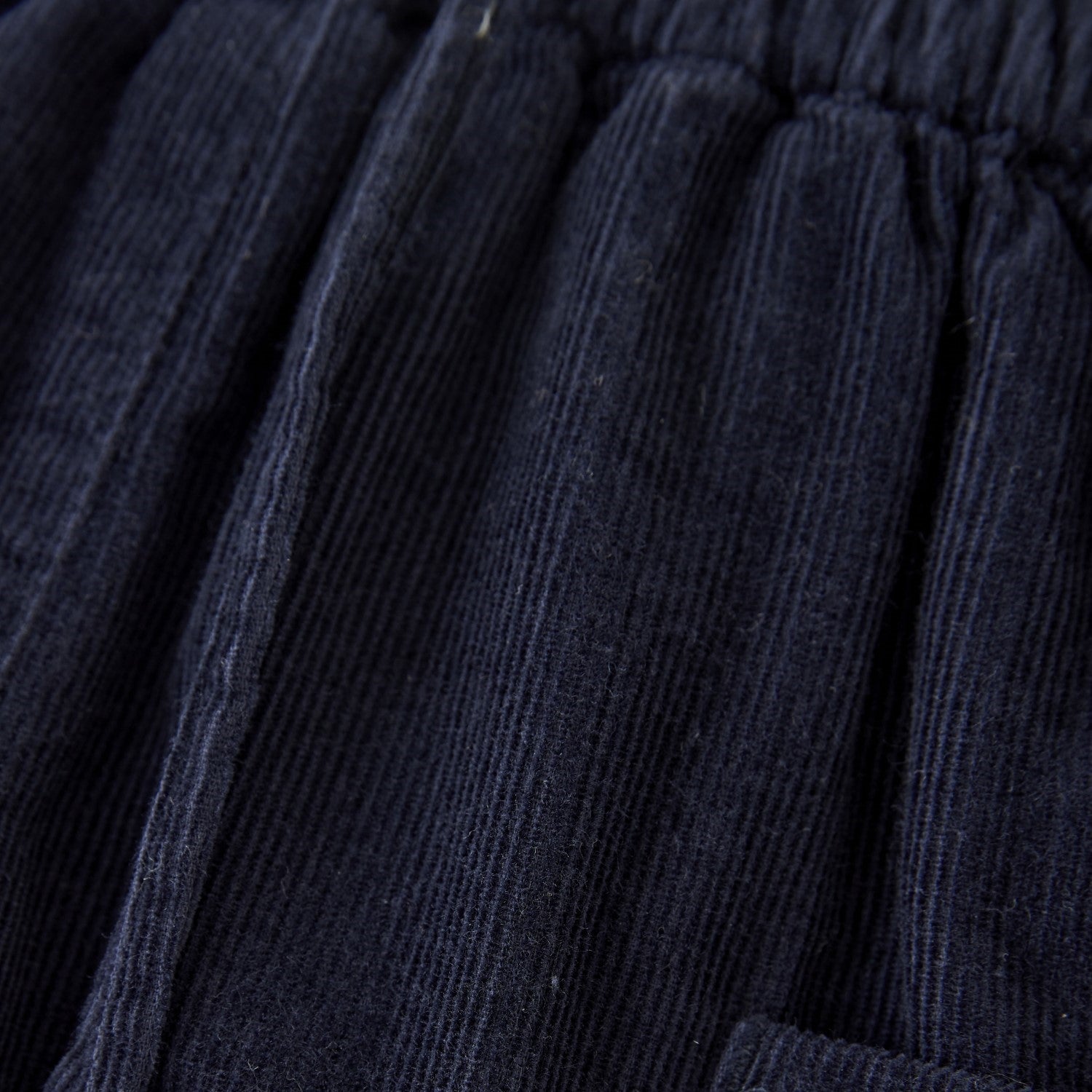 Baby Corduroy Lined Pant | Caribou or Parisian Night