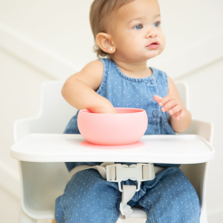 Wonder Suction Bowl | Bon Appetit