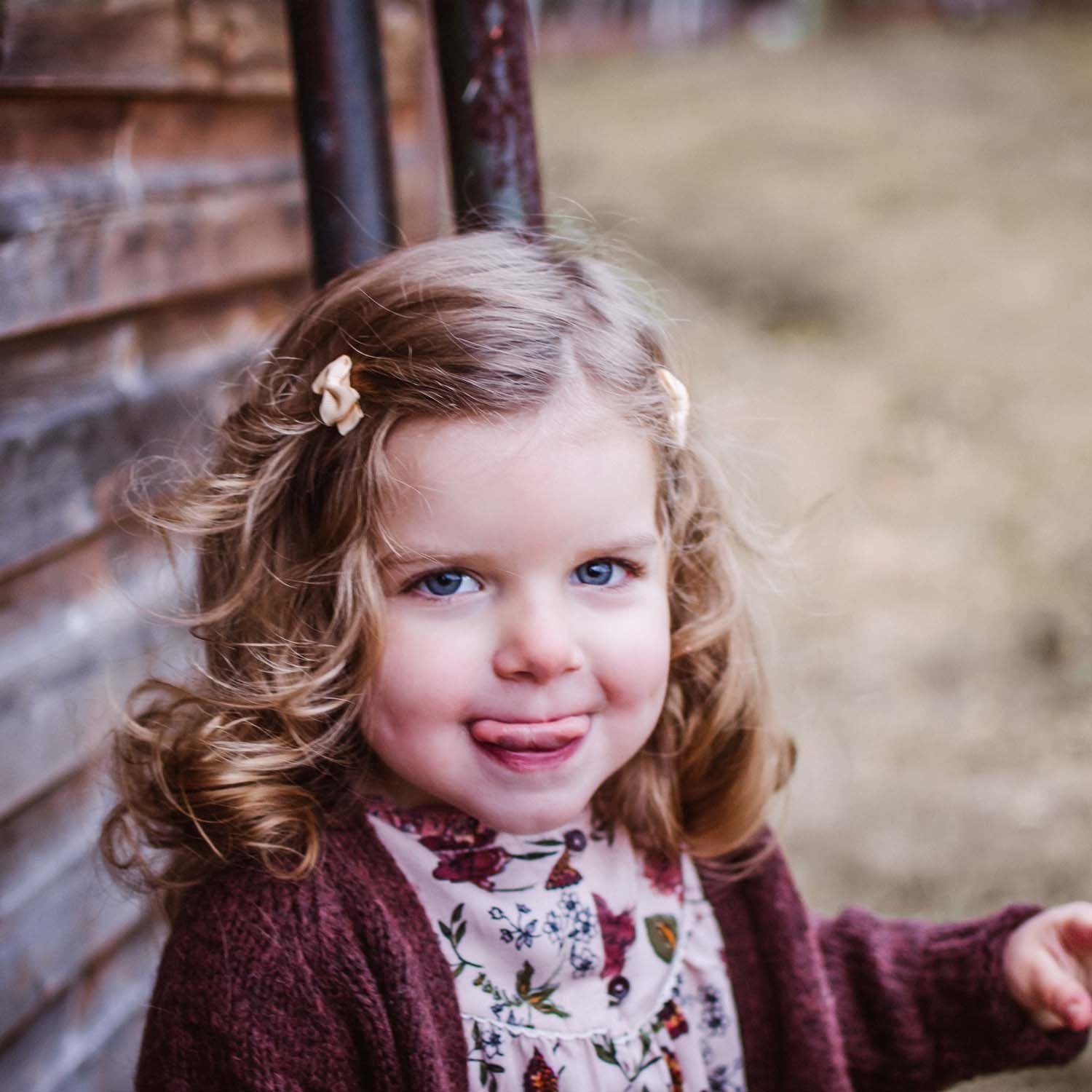 Tuxedo Bow Snap Clip, Set of 5 | Figment