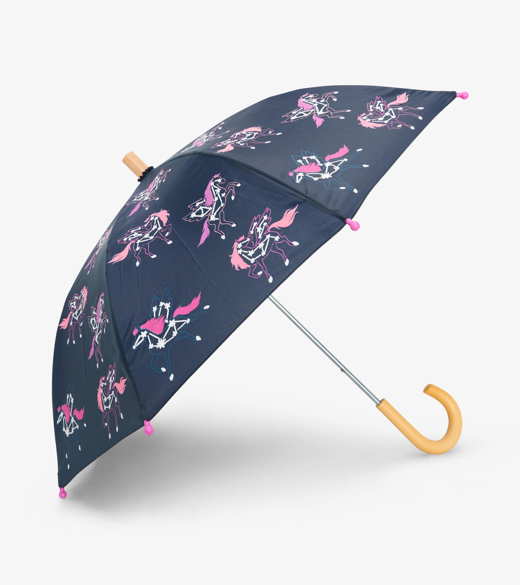 Pegasus Constellation Color Changing Umbrella